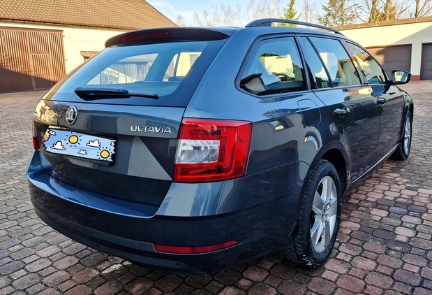 Skoda Octavia cena 71000 przebieg: 66900, rok produkcji 2019 z Łódź małe 92